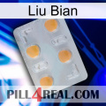 Liu Bian 24